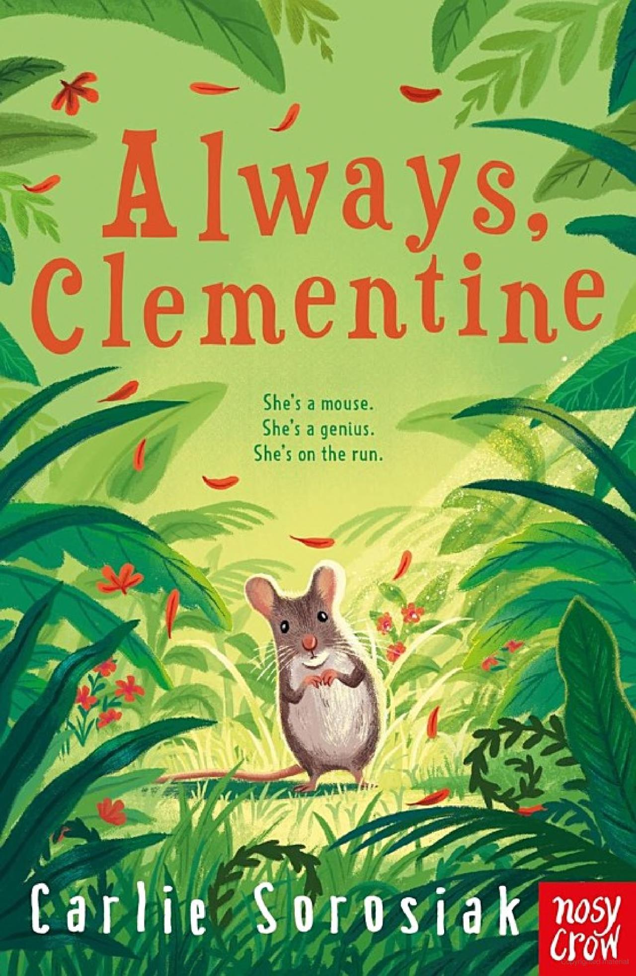 Always Clementine book cover